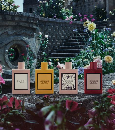 amazon profumo gucci bloom|gucci bloom profumo di fiori.